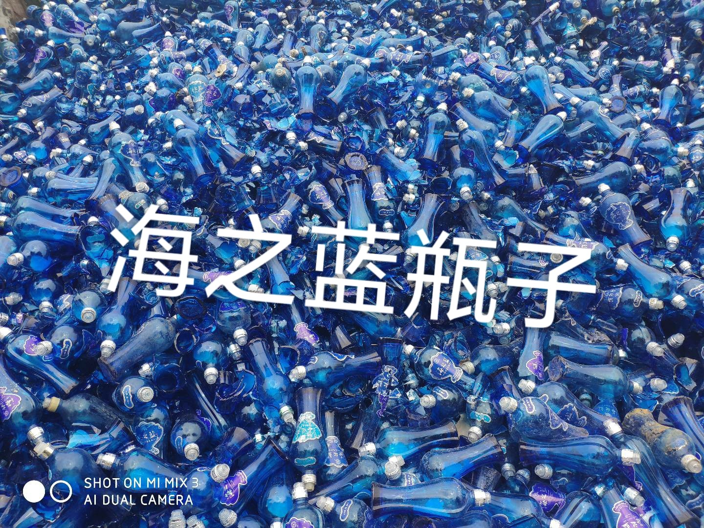 宿豫区海之蓝瓶回收