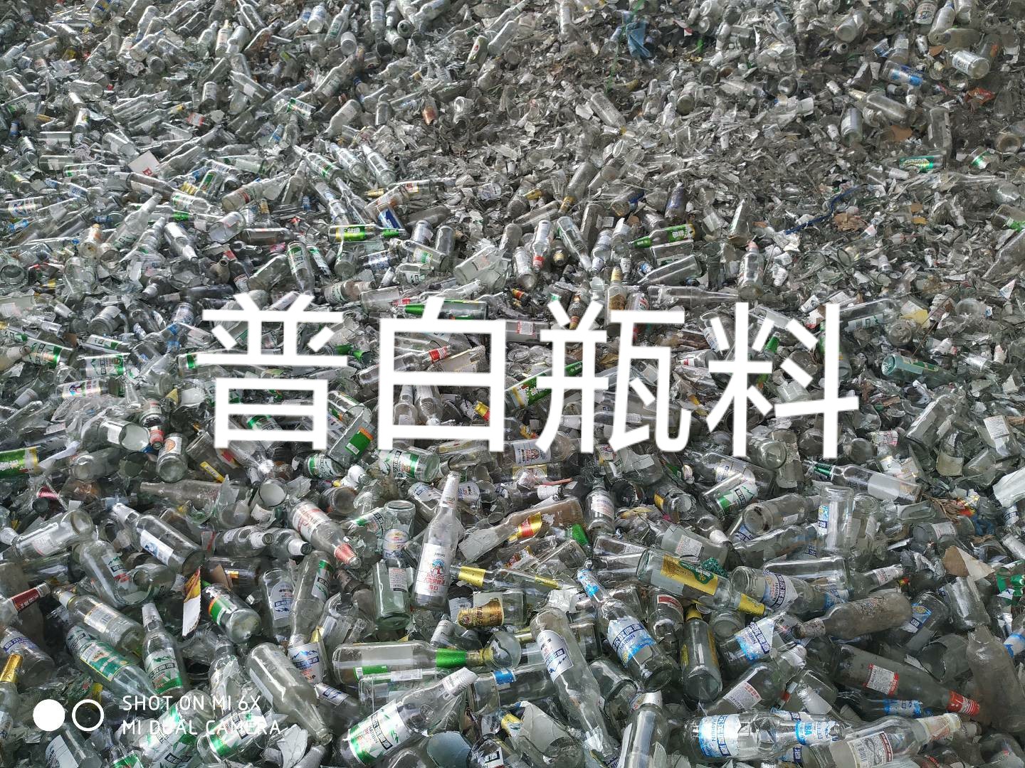 宿豫区普白瓶料回收